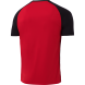 Футболка игровая JOGEL CAMP Striped Jersey, красный/черный