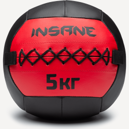 Медбол INSANE IN24-WB100, 5 кг, красный