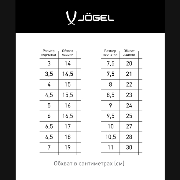 Перчатки вратарские JÖGEL ONE Wizard AL3 Flat, голубой