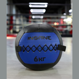 Медбол INSANE IN24-WB100, 6 кг, синий