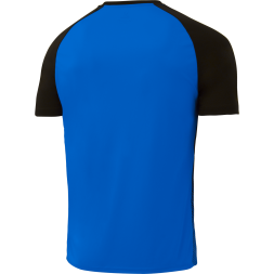 Футболка игровая JOGEL CAMP Striped Jersey, синий/черный, детский